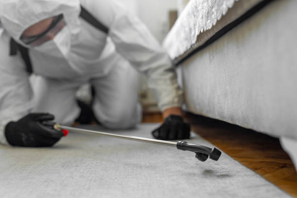 Professional Ant Control technician working in Escobares, TX