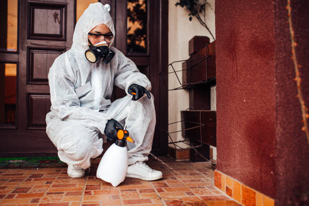 Reliable Ant Control contractor in Escobares, TX by Nex Pest Control